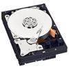Picture of 西部数据(WD)日常存储解决方案  蓝盘1TB HDD