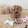 Picture of (犬玩具) 印度棉牙膏玩具凉鞋