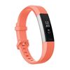 Picture of Fitbit Alta HR 心率腕带   L